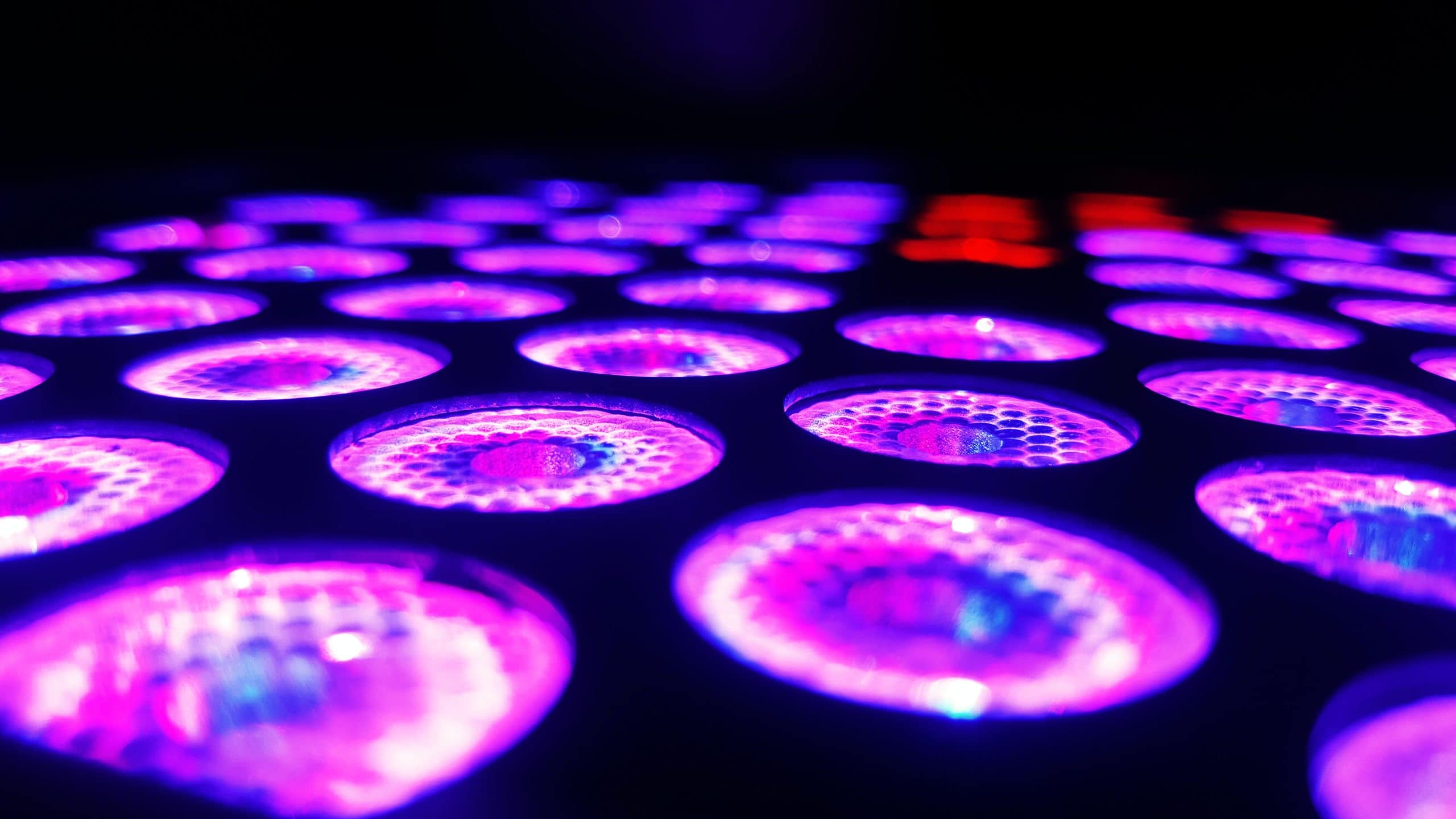 imran-ali-BqEvVaqcLXc-unsplash